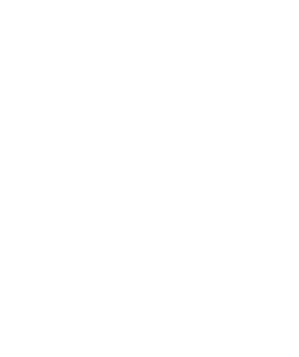rice-owl